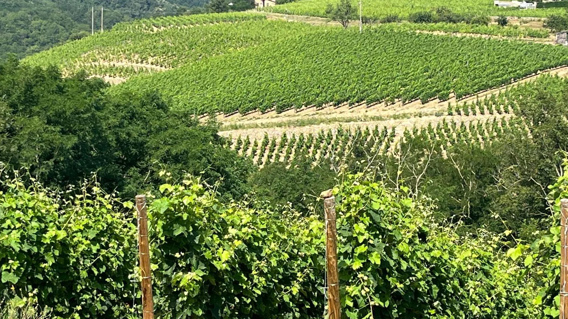 הוילה Malleval Au Coeur Des Vignes 0*,  צרפת